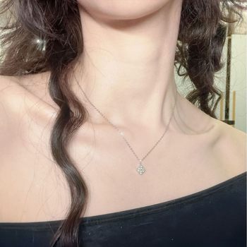 Niche Light Luxury Style High-End Titanium Steel Necklace for Women, Ins-Style Fashionable Versatile Non-Fading Clavicle Chain Accessory