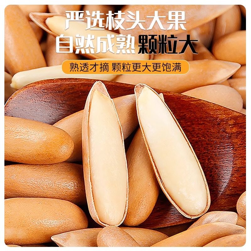 Chunjiangyue Brazilian Pine Nuts New Arrival Roasted Seeds Hand-Peeled Extra Large Capsules Specialty Nut Snacks Without Additives Wholesale