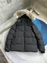 Wyndham Men's Parker Goose Jacket 29 Wyndham Cross-Border down Jacket 3808Mb