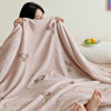 Class a Double-Layer Thickeneded Raschel Blanket Cover Blanket Super Soft Cloud Blanket Office Nap Blanket Milk Velvet Sofa Blanket