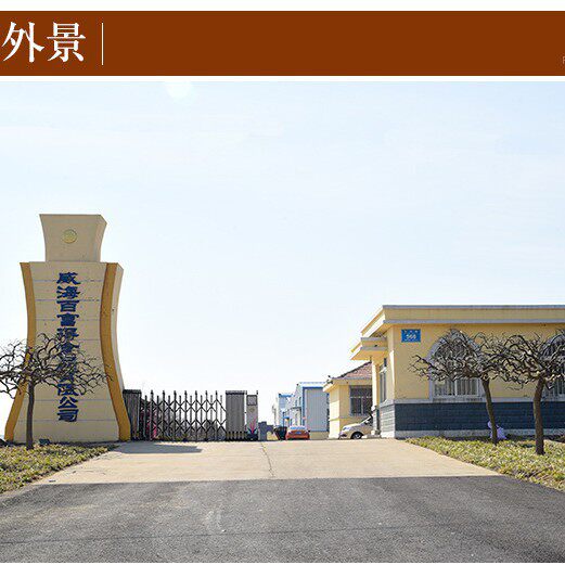 Factory Processing of Cheese-Flavored Peanut Series with Various Flavors, over 20 Years of Experience in Finding Strong Distributors for Wholesale