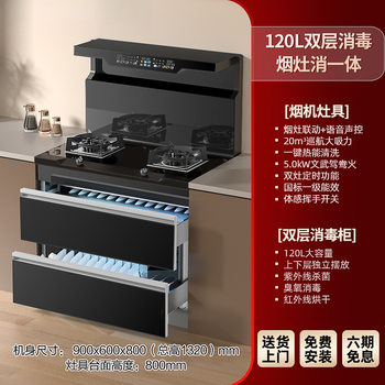 New Gas Stove Household Integrated Stove Integrated Stove Steam Oven Disinfection Cabinet Fierce Fire Stove Large Suction Variable Frequency Range Hood