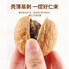 Guangxinda Kung Fu Roasted Walnuts 500g Herbal Flavor Hand-Peeled Thin-Skinned Walnut Nuts Dried Fruit Office Snack Food