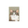 Spot PASSPORT cute cat многофункциональная сумка для паспорта с принтом владельца проездного паспорта, защитная крышка для документов оптом mini 4