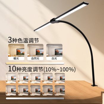 Cross-Border Led Desk Lamp Desktop Office Gooseneck Double-Headed Clip Desk Lamp Learning Reading Student Special Eye Protection Desk Lamp