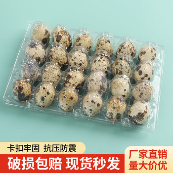 24 Quail Egg Trays, Thickened Disposable Transparent Plastic Boxes, Quail Egg Packaging Boxes, Shockproof, 100 Pieces, Free Shipping
