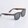 Blackish green piece of hawksbill frame
