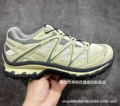 Turtle dove green