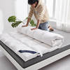 New Hotel Star Soft Mattress Feather Velvet Tatami Mat Rent House Homestay Thick Mattress Double Room Student Mat
