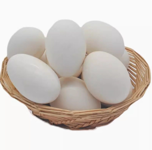 Hot Selling Fresh Goose Eggs, Farm-Raised Free-Range Goose Eggs, Wild River Water-Raised Goose Eggs, Large and Good Eggs