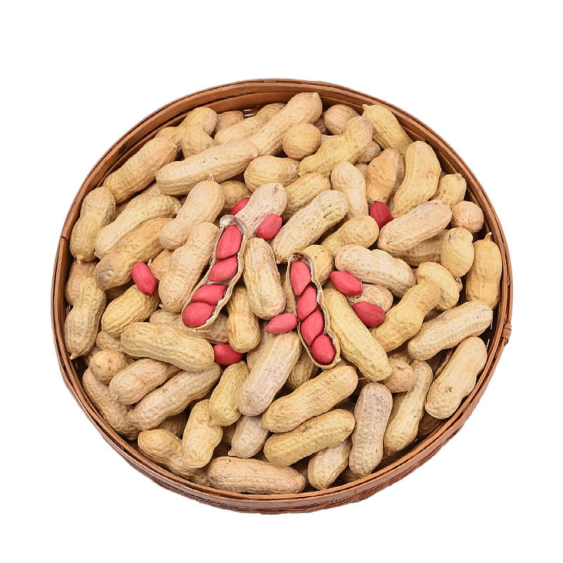 2024 New Arrivals, New Red-Skinned Raw Peanuts in Shells, Fresh Sun-Dried Original Peanuts, Iron Pan Roasted Peanuts, Farm Peanuts