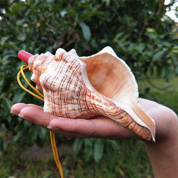Free Shipping Natural Shell Crafts Red Conch Whistle Conch Island Stall Supply Kidsren's Horse Small
