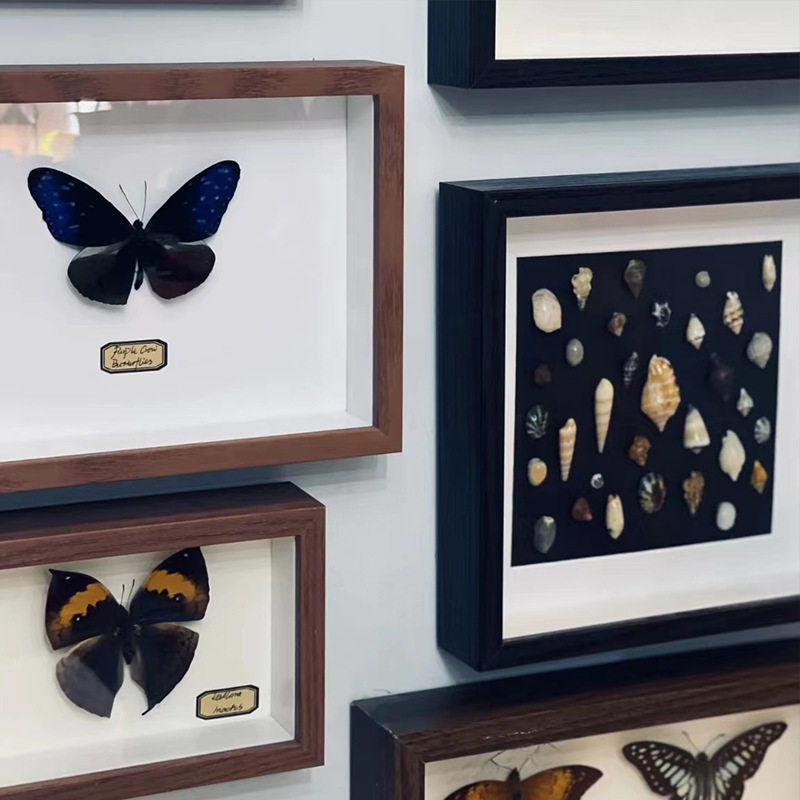 Handmade Stereo Photo Frame Stereo Hollow Specimen Frame Shell Stone Plant Dried Flower Collection Preservation Display Picture Frame