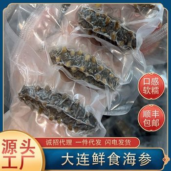 Fresh Sea Cucumber Wholesale Dalian Ready-To-Eat Sea Cucumber Fresh Liaoning Sea Cucumber Non-Dried Goods Yidelu Seafood Dried Goods