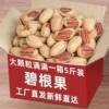 New Arrival Pecan Nuts with Creamy Flavor, Large Kernels, Net Weight 2.5kg Grams, Large Bag Packed Pecans, New Year's Goods, Whole Box Wholesale