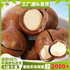 Macadamia Nuts Casual Snacks Large Particles Macadamia Nuts Creamy Original Nuts Dried Fruits Wholesale Dropshipping