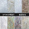 Shell Pieces 14*24 Non-Bendable Orange Green Blue Red Purple Mexican New Zealand Abalone Mother-Of-Pearl Hard Mother-Of-Pearl