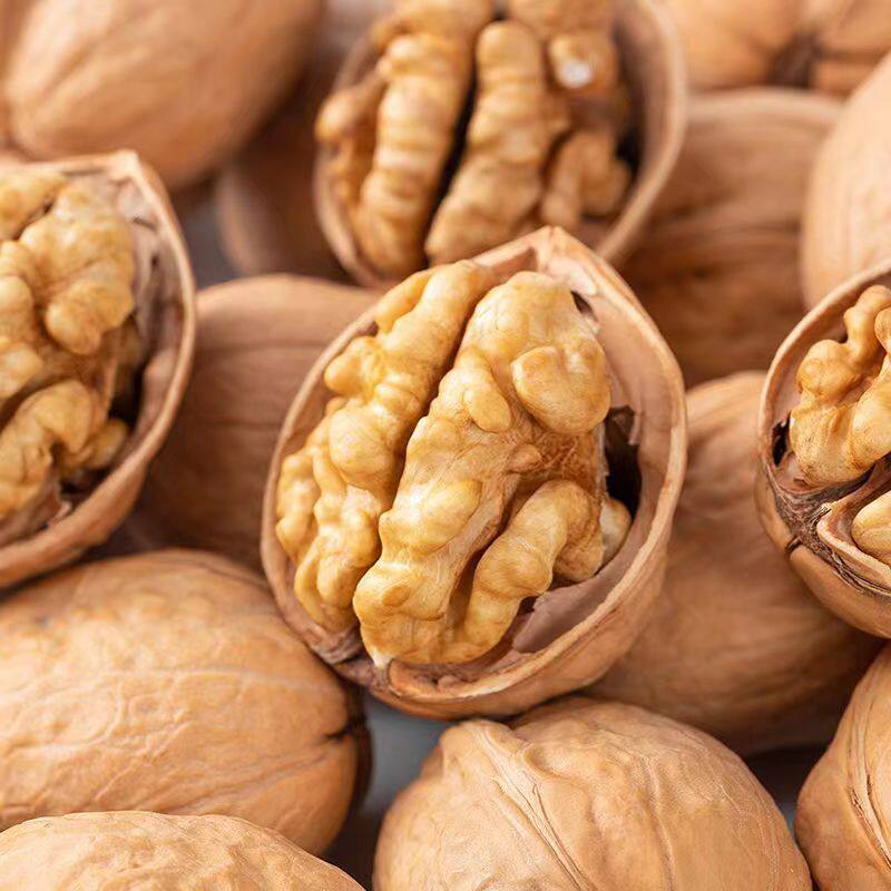 On behalf of Xinjiang paper walnut new walnut 500g bulk wholesale hand kneading Aksu 185 paper walnut