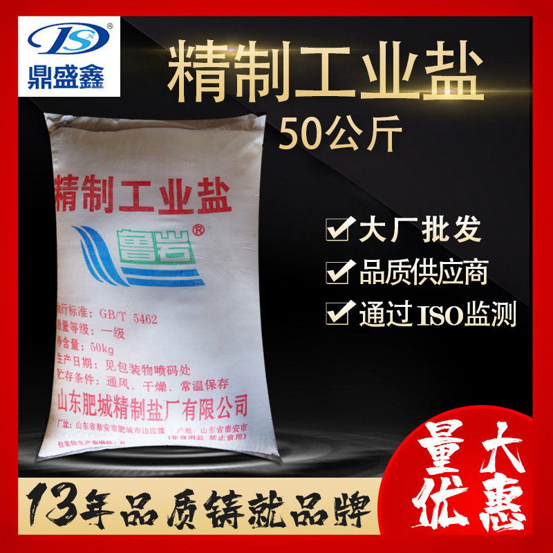 Dingshengxin Mineral Salt Industrial Salt Fine Salt Sodium Chloride Nacl 99% 50Kg/Bag Industrial Raw Materials Wholesale