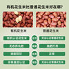 Organic Red Peanut Kernels 350g Vacuum Bagged for Making Soy Milk, Fresh Red Skin Without Shell Raw Peanuts Wholesale