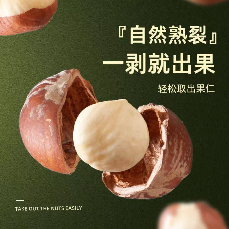Hazelnuts New Arrival Northeast Wild Small Large Particles Thin Skin Original Nuts Roasted New Arrival Tieling Specialty Wholesale Price