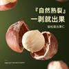 Hazelnuts New Arrival Northeast Wild Small Large Particles Thin Skin Original Nuts Roasted New Arrival Tieling Specialty Wholesale Price