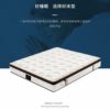 Five-Star Hotel Natural Latex Mattress Cashmere Antibacterial and Anti-Mite Fabric Independent Pocket Spring Silent Simmons
