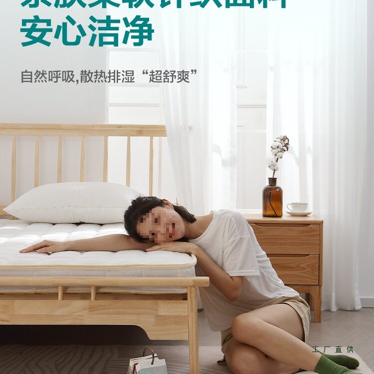 Coconut Palm Mat Mattress Plus Hard Waist Protection Natural 3E Pure Palm for the Elderly and Kidsren 3D Latex for Winter and Summer Use