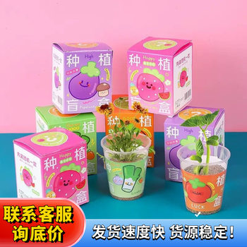 Children's Potted Plant Blind Box New Kindergarten Green Plant Seed Desktop Ornaments Student Prize Gift Small Potted Plant