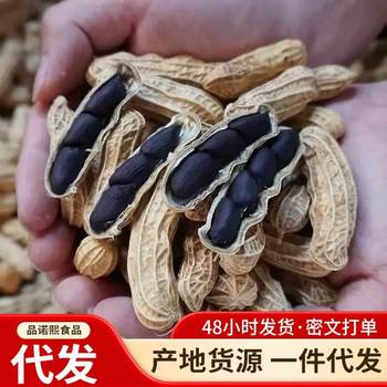 Selenium-Rich Black Peanuts Genuine Yunnan Black Peanuts with Shells Purple Peanuts Black Peanuts Stomach-Nourishing Raw Peanuts Wholesale Dropshipping