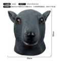 Rat head