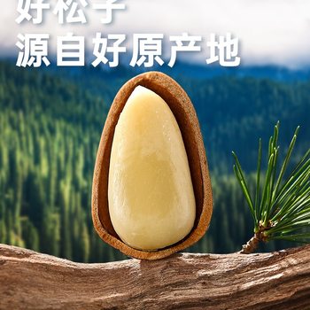 Open-Pack Northeastern Bagged Xue Ji Roasted Seeds with Large Kernels, Easy to Peel, New Arrival, Dried Fragrant Nuts and Snacks Wholesale