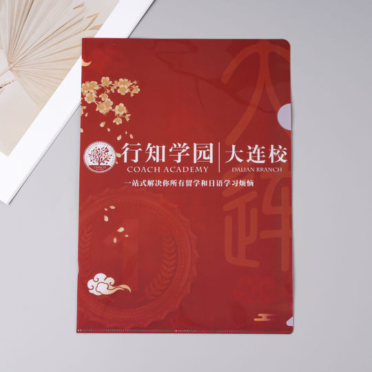 L-Shaped Folder Customized A4A5 Mini Support Star Single Page Folder Pp Plastic Folder Cartoon Customized Pattern