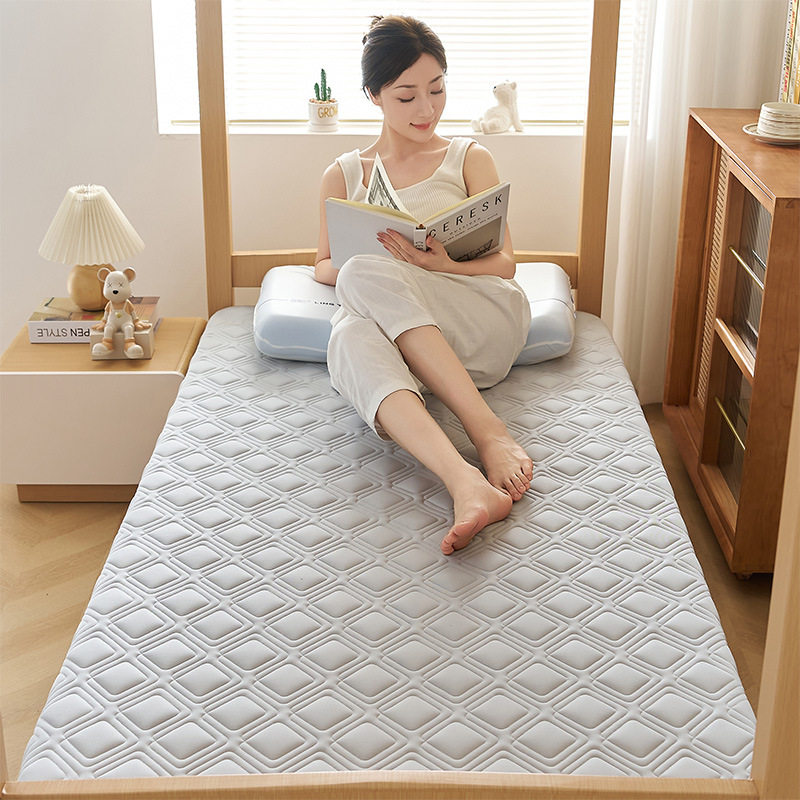 Source Factory Wholesale Spring and Summer New Latex Memory Foam Mattress Student Dormitory Special Home Waist Support Mattress Pad