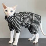 Немецкая кошка Сфинкс безволосый кот Котенок летняя четвероногая дышащая одежда в разноцветную полоску