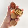 Paper-skin walnut thin-skin walnut black walnut hand-peeled pecans nuts snacks plump fruit