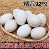 Hot Selling Fresh Goose Eggs, Farm-Raised Free-Range Goose Eggs, Wild River Water-Raised Goose Eggs, Large and Good Eggs