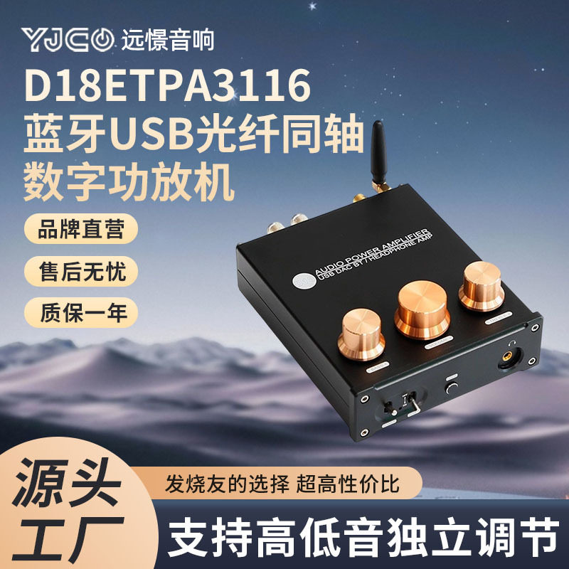 D18E Tpa3116 Two-Channel Optical Fiber Coaxial Bluetooth U Disk Digital Stereo Fever Hifi Amplifier