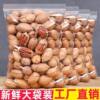 New Large Grain Creamy Pecan 500g American Pecan Snack Nut Specialty Roasted Seeds and Nuts Longevity Fruit
