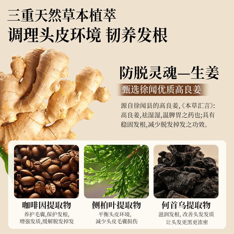 Caifeil Ginger Anti-Hair Loss Firming Shampoo Old Ginger King Anti-Dandruff Oil Control Cleansing Hair Shampoo Cream One Piece Dropshipping