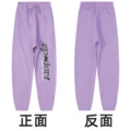 Trousers 161-taro purple
