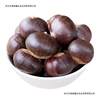 Fresh Chestnut Raw Chestnut Shandong Yimeng Mountain Mao Chestnut Big Stupid Oil Chestnut Natural Old Tree Wild Farm Small Chestnut