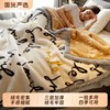 Raschel Blanket Winter Thickeneded Velvet Nap Blanket Bed Sheets Single Dormitory Student Coral Flannel Quilt