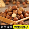 Net weight northeast small hazelnut Tieling specialty original 500g thin-skinned nut snacks factory source factory a wholesale