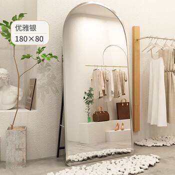 Ins Popular Full-Length Mirror Female Home Floor Mirror Bedroom Girl Dressing Mirror Clothing Store Large Mirror Fitting Mirror