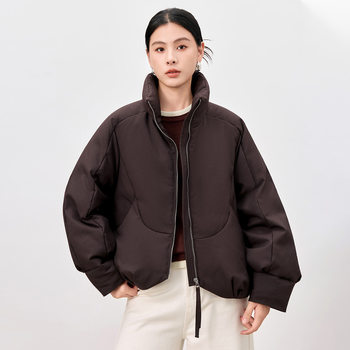 95 White Goose down 2025 Winter New Style Simple Thickeneded Stand Collar Soft Waxy Puff Cloud Goose down Jacket for Women 2123