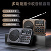 Shanshui Radio Elderly Portable Card Speaker Bluetooth Audio Mini Walkman Player Rechargeable
