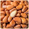 New Arrival Open-Ended Pine Nuts, Northeastern Pine Nuts, Hand-Peeled Specialty New Year Snacks, Gift Packs, Wholesale Roasted Nuts, Dried Fruits