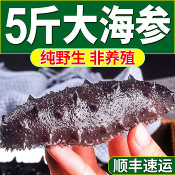 []Extra Large Sea Cucumber Ready-To-Eat Wild Sea Cucumber Fresh Frozen Sea Cucumber Non-Dalian Liaoshan Sea Cucumber Light Dried Sea Cucumber Batch
