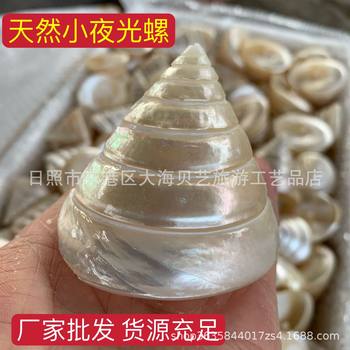 Small Luminous Conch Natural Sea Shell Home Decoration DIY Crafts Making Fish Aquarium Decoration Manufacturer Wholesale
